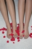 Thumnail / 2 / 10 / 49